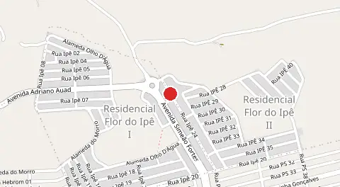 Mapa de Flor do Ipê II