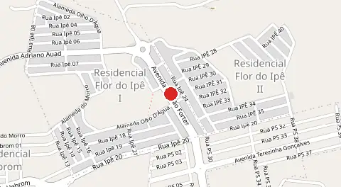 Mapa de Flor do Ipê I