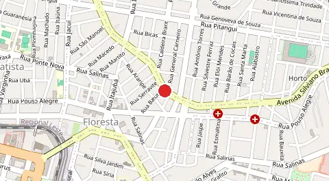 Mapa de Floresta