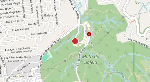 Mapa de Baleia