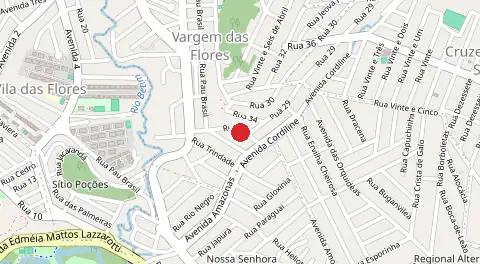 Mapa de Vargem das Flores