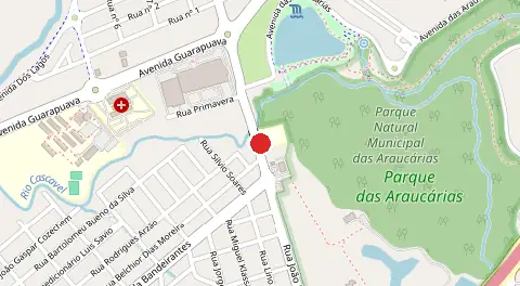Mapa de Araucarias