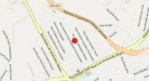 Mapa de Nelson Pereira de Souza