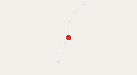 Mapa de Reflorestamento Pinus