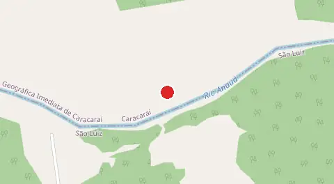 Mapa de Margem do Rio Anaua